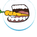 4-removebg-preview-1.png